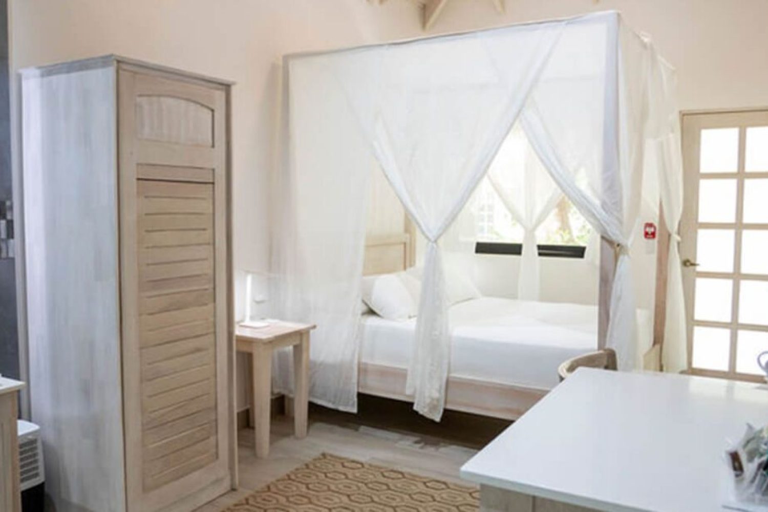 jungle-queen-room-bodhi-tree_1-1675x615 (1)