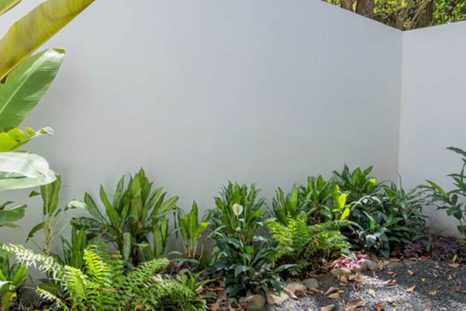 jungle-queen-room-bodhi-tree_11-1675x615